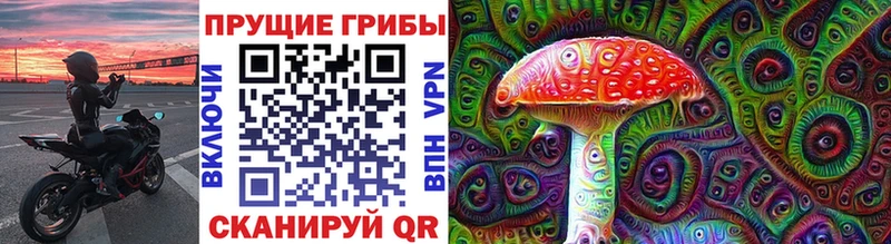 Галлюциногенные грибы Cubensis Мариинский Посад