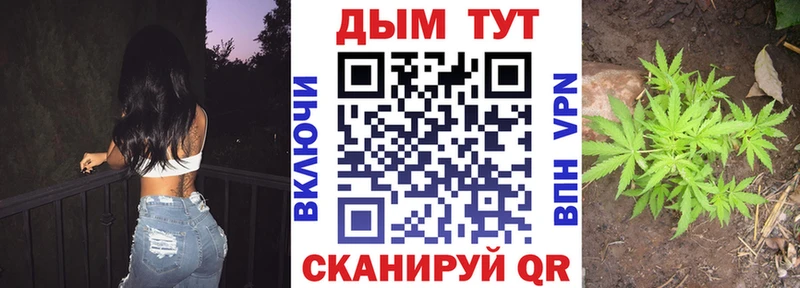 Конопля LSD WEED где найти Мариинский Посад